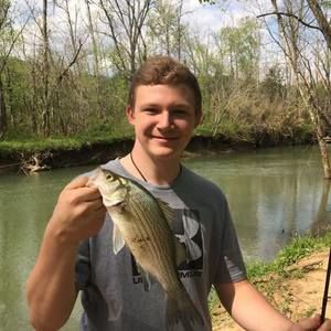 Meet your Posher, Jackson